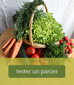 formule-test