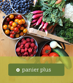 page-panier-plus